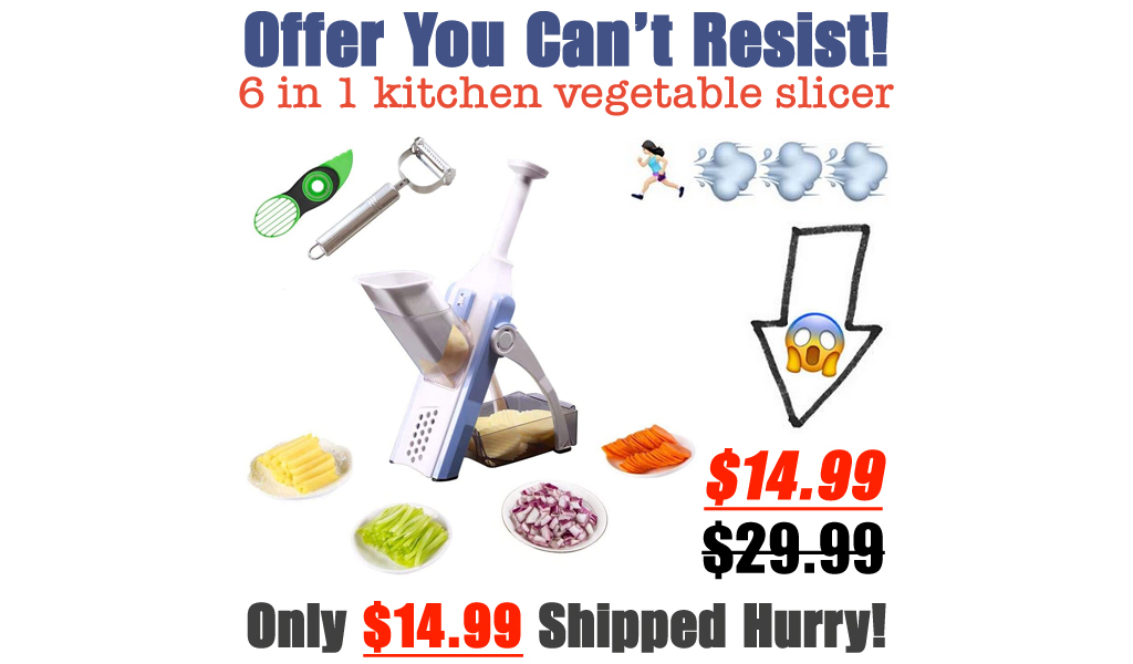 6 in 1 kitchen vegetable slicer Only $14.99 Shipped on Amazon (Regularly $29.99)