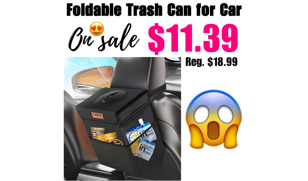 Foldable Trash Can for Car Only $11.39 Shipped on Amazon (Regularly $18.99)
