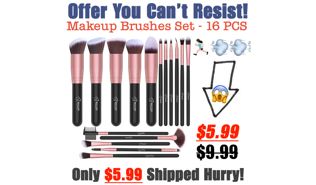 Makeup Brushes Set - 16 PCS Only $5.99 Shipped on Amazon (Regularly $9.99)
