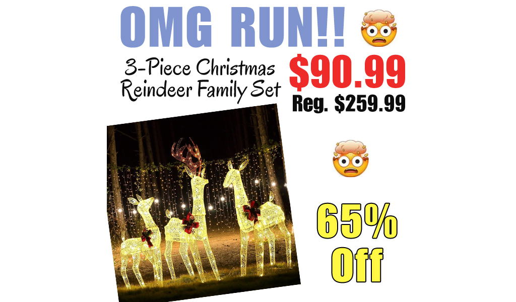 3-Piece Christmas Reindeer Family Set Only $90.99 Shipped on Amazon (Regularly $259.99)