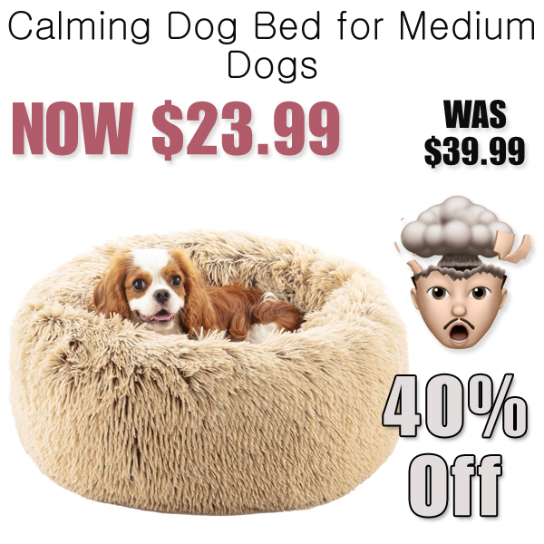 Calming Dog Bed for Medium Dogs Only $10.07 Shipped on Amazon (Regularly $39.99)