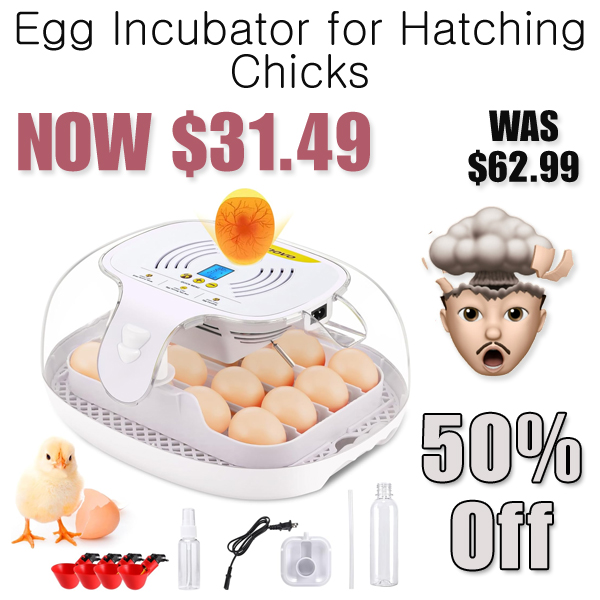 Egg Incubator for Hatching Chicks Only $31.49 Shipped on Amazon (Regularly $62.99)