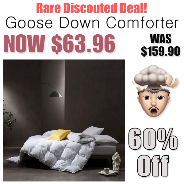 Goose Down Comforter Only $63.96 Shipped on Amazon (Regularly $159.90)