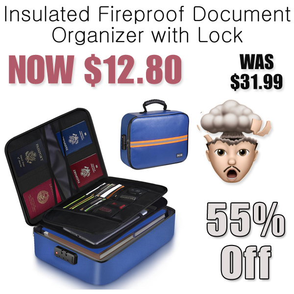 Insulated Fireproof Document Organizer with Lock Only $12.80 Shipped on Amazon (Regularly $31.99)