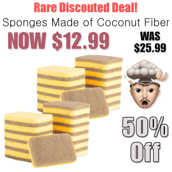 Sponges Made of Coconut Fiber Only $12.99 Shipped on Amazon (Regularly $25.99)