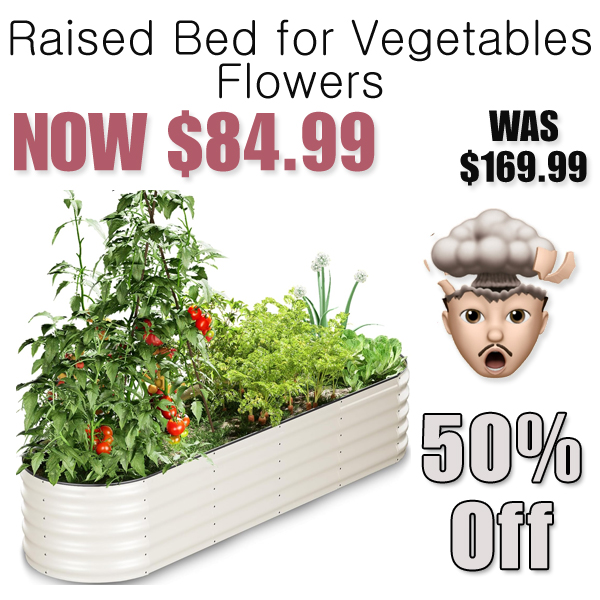Raised Bed for Vegetables Flowers Only $84.99 Shipped on Amazon (Regularly $169.99)