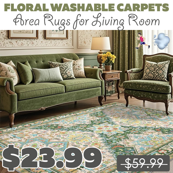Area Rugs for Living Room Only $23.99 (Regularly $59.99)
