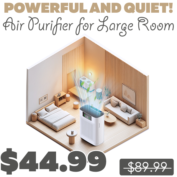Air Purifier for Large Room Only $44.99 (Regularly $89.99)