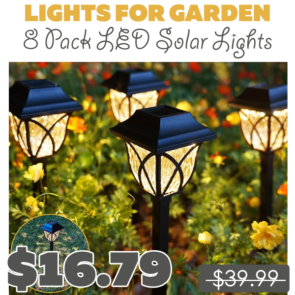 8 Pack LED Solar Lights Only $16.79 (Regularly $39.99)