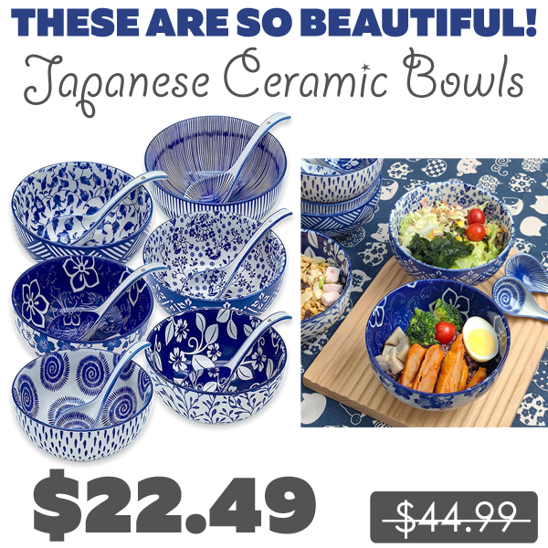 Japanese Ceramic Bowls Only $15.99 (Regularly $44.99)