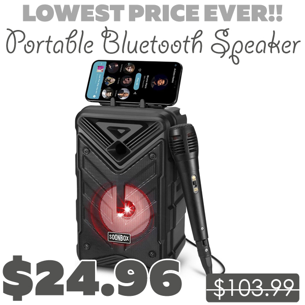 Portable Bluetooth Speaker Only $24.96 (Regularly $103.99)