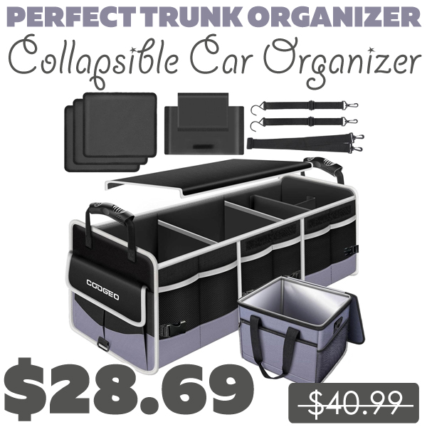 Collapsible Car Organizer Only $28.69 (Regularly $40.99)
