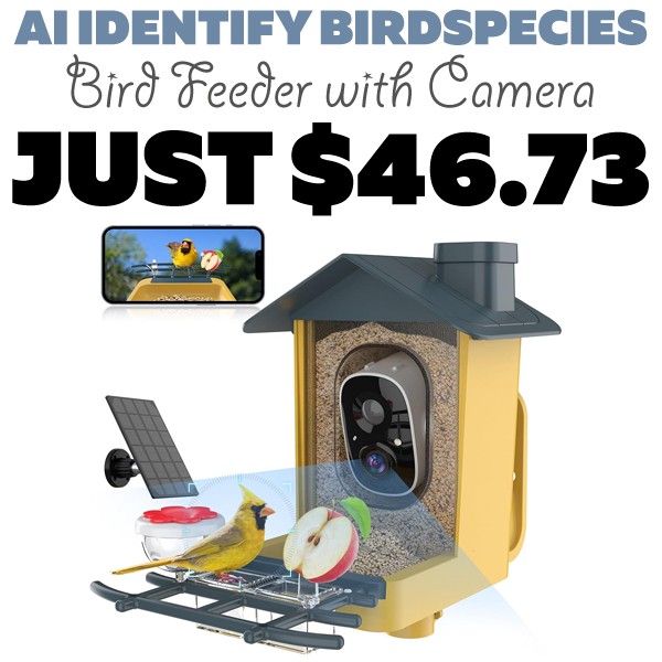 Bird Feeder with Camera Only $46.73 (Regularly $77.89)