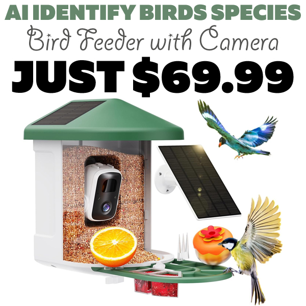 Bird Feeder with Camera Only $69.99 (Regularly $169.99)