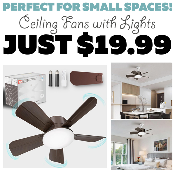 Ceiling Fans with Lights Only $19.99 (Regularly $49.99)