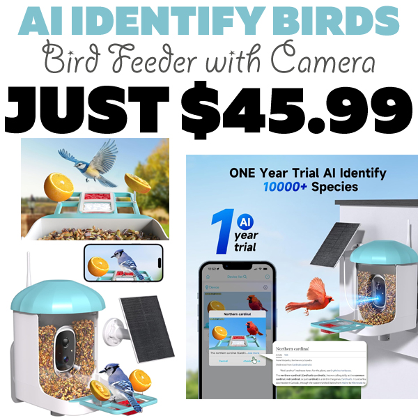 Bird Feeder with Camera Only $45.99 (Regularly $159.99)
