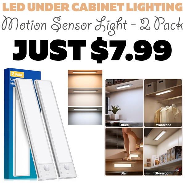 Motion Sensor Light - 2 Pack Only $7.99 (Regularly $15.98)