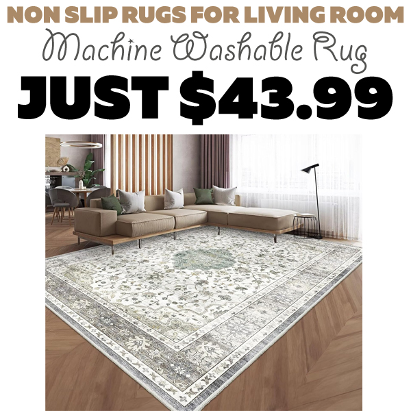 Machine Washable Rug Only $43.99 (Regularly $109.99)