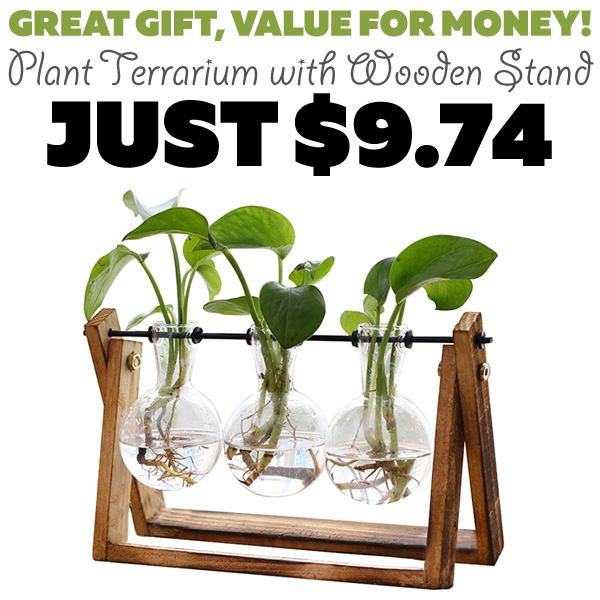 Plant Terrarium with Wooden Stand Only $9.74 (Regularly $19.48)