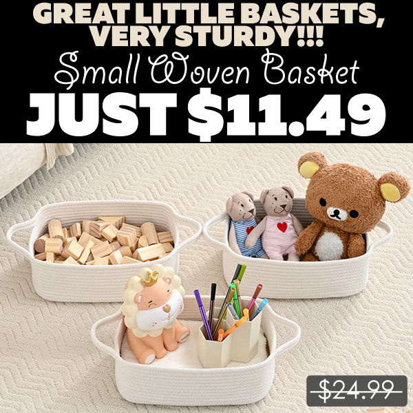 Small Woven Basket Only $11.49 (Regularly $24.99)