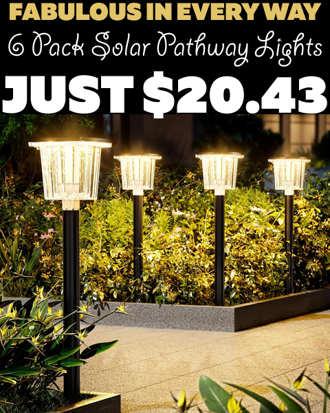 6 Pack Solar Pathway Lights Only $20.43 (Regularly $55.99)
