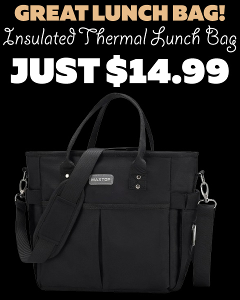 Insulated Thermal Lunch Box Only $14.99 (Regularly $29.99)