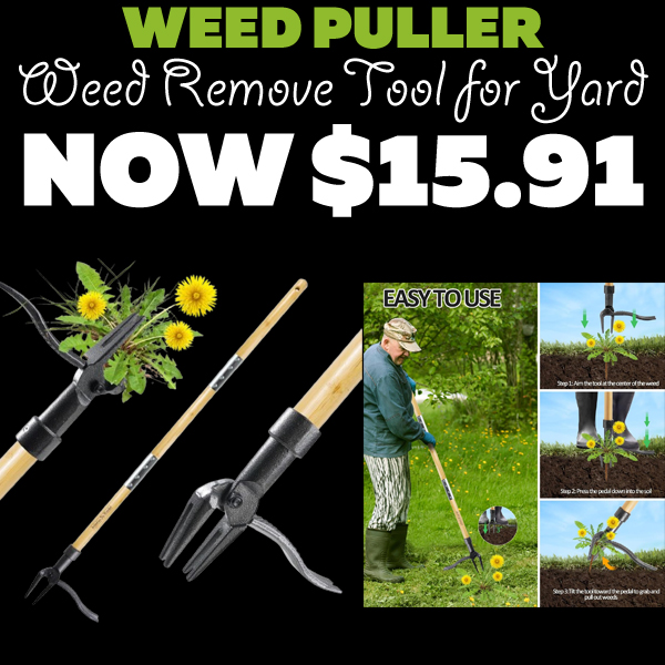 Weed Remove Tool for Yard Only $15.91 (Regularly $34.99)