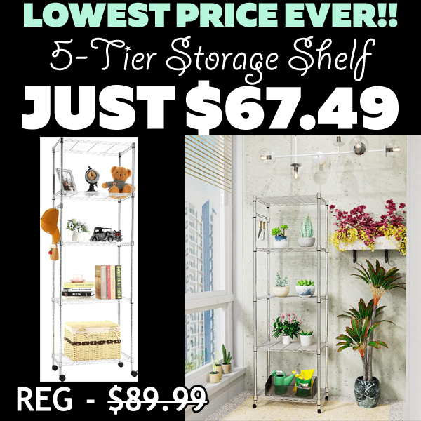 5-Tier Storage Shelf Only $67.49 (Regularly $89.99)