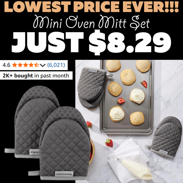 Mini Oven Mitt Set Only $8.29 (Regularly $11.59)