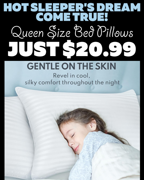 Queen Size Bed Pillows Only $20.99 (Regularly $100.00)