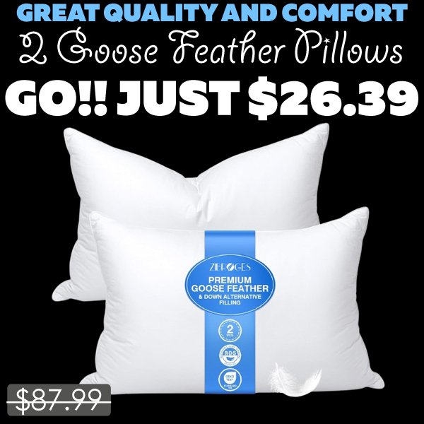 2 Goose Feather Pillows Only $26.39 (Regularly $87.99)