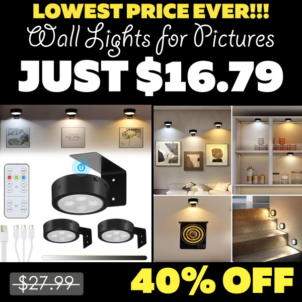 Wall Lights for Pictures Only $16.79 (Regularly $27.99)