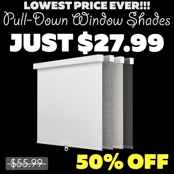 Pull-Down Window Shades Only $27.99 (Regularly $55.99)