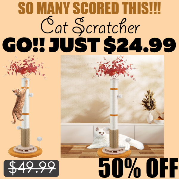 Cat Scratcher Only $24.99 (Regularly $49.99)