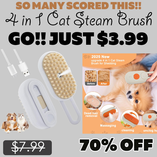 4 in 1 Cat Steam Brush Only $3.99 (Regularly $7.99)