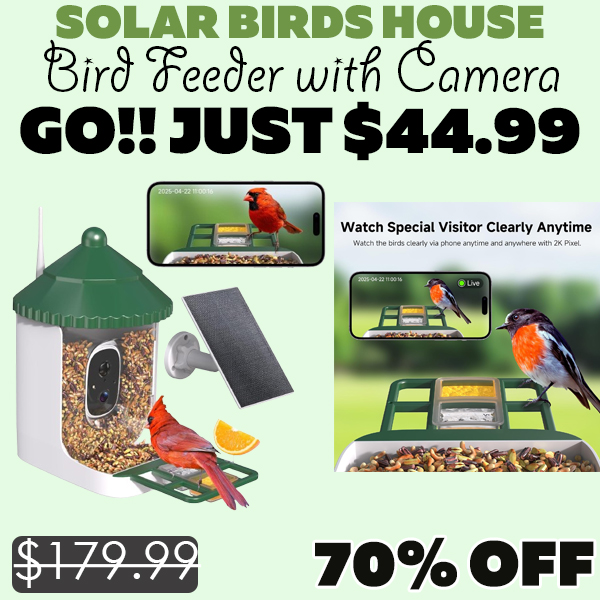 Bird Feeder with Camera Only $44.99 (Regularly $179.99)