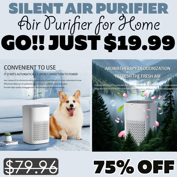 Air Purifier for Home Only $19.99 (Regularly $79.96)