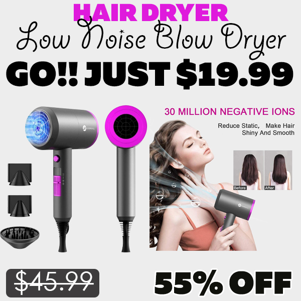 Low Noise Blow Dryer Only $19.99 (Regularly $45.99)