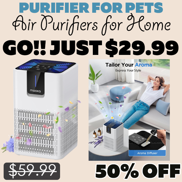Air Purifiers for Home Only $29.99 (Regularly $59.99)