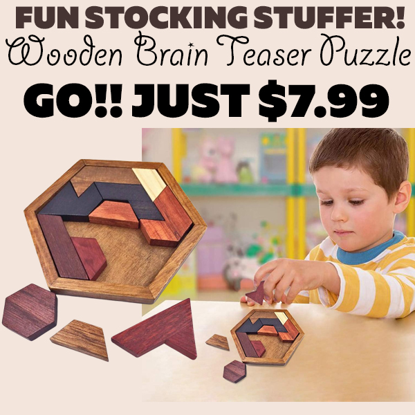 Wooden Brain Teaser Puzzle Only $7.99
