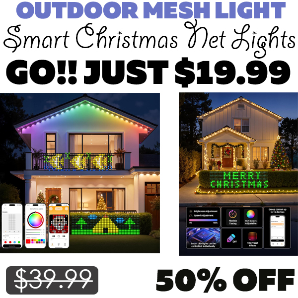 Smart Christmas Net Lights Only $19.99 (Regularly $39.99)