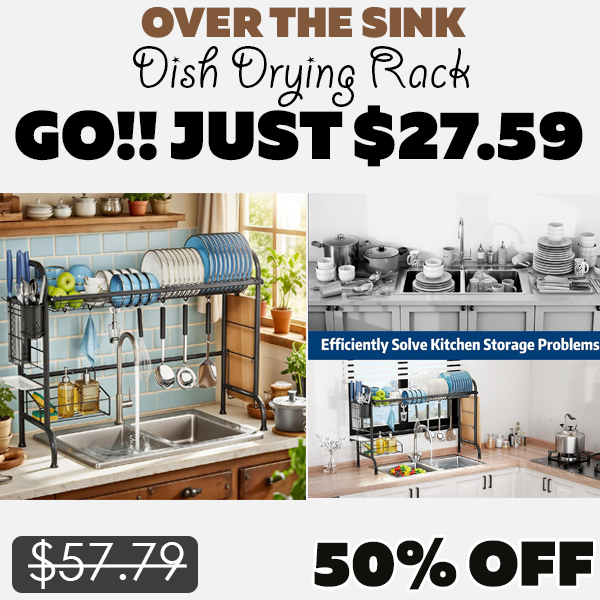 Dish Drying Rack Only $27.59 (Regularly $57.79)