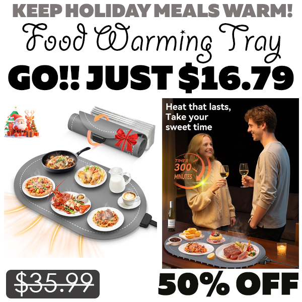 Food Warming Tray Only $16.79 (Regularly $35.99)