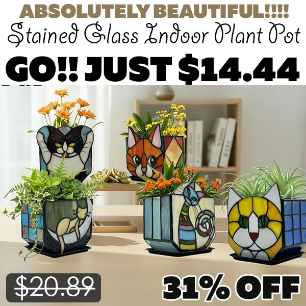 Stained Glass Indoor Plant Pot Only $14.44 (Regularly $20.89)