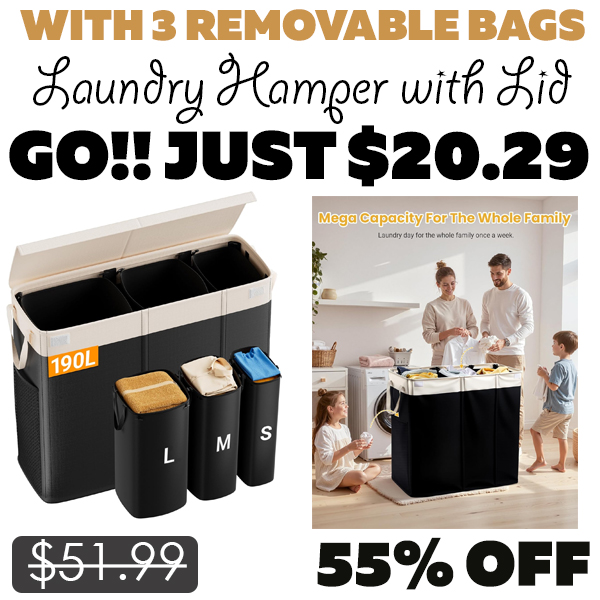 Laundry Hamper with Lid Only $20.29 (Regularly $51.99)