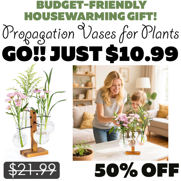 Propagation Vases for Plants Only $10.99 (Regularly $21.99)