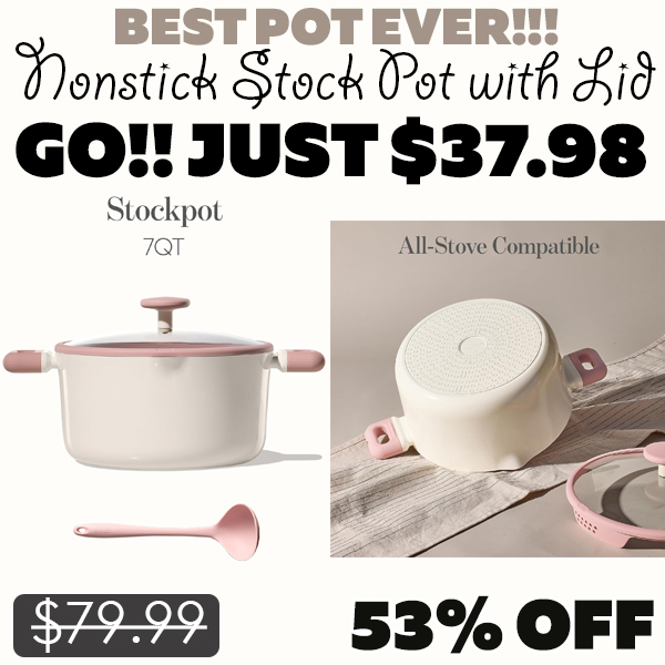 Nonstick Stock Pot with Lid Only $37.98 (Regularly $79.99)