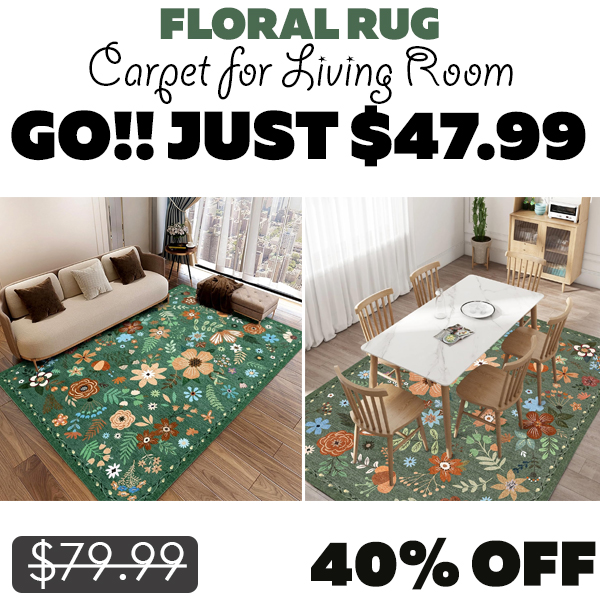 Carpet for Living Room Only $47.99 (Regularly $79.99)