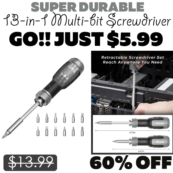 13-in-1 Multi-bit Screwdriver Only $5.99 (Regularly $13.99)