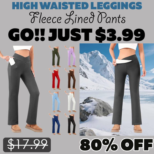 Fleece Lined Pants Only $3.99 (Regularly $17.99)